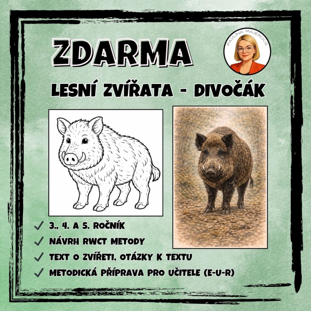 Prase divoké
