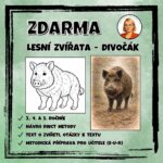 Prase divoké
